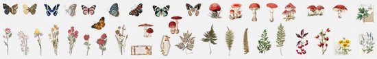 "Nature Deco Sticker and Paper Set - 200 Pieces - Bullet Journal Stickers - Planner Agenda Stickers - Scrapbook Stickers/Paper - Hobby Paper - Stickers and Hobby Paper for Adults and Children"
"Nature Deco Sticker and Paper Set"